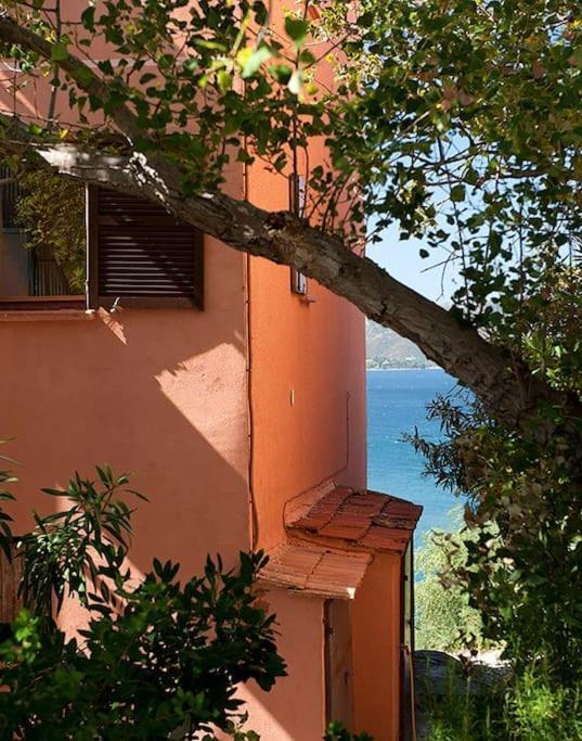 Apartmán Casa Marine Du Soleil 60 Patrimonio Exteriér fotografie